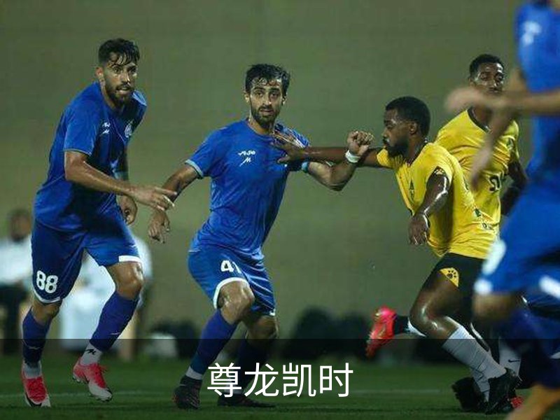 尊龙凯时概况
